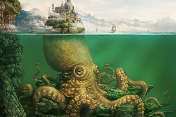 Kraken 12