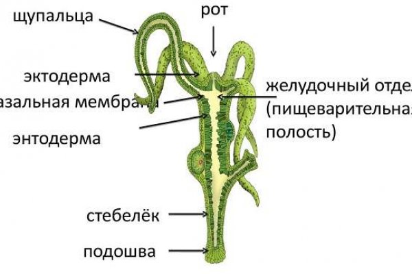 Kra47.at