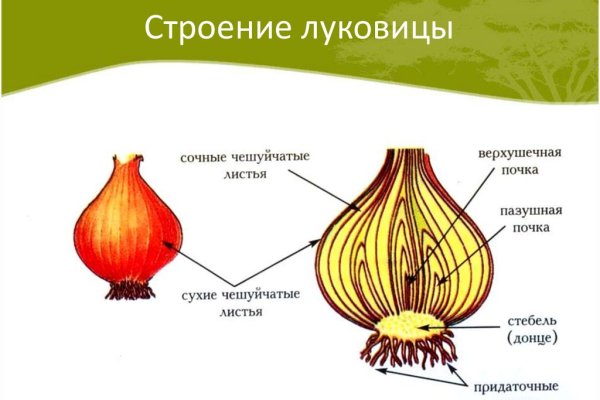Открыть даркнет