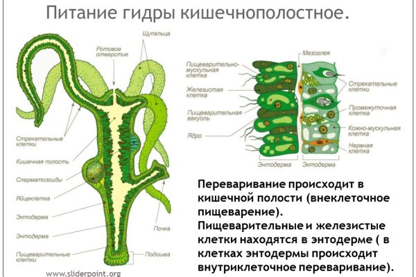 Кракен что можно купить