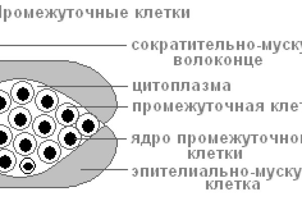 Ссылка на кракен onion kraken dark link