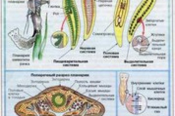 Ссылки на дарк нет