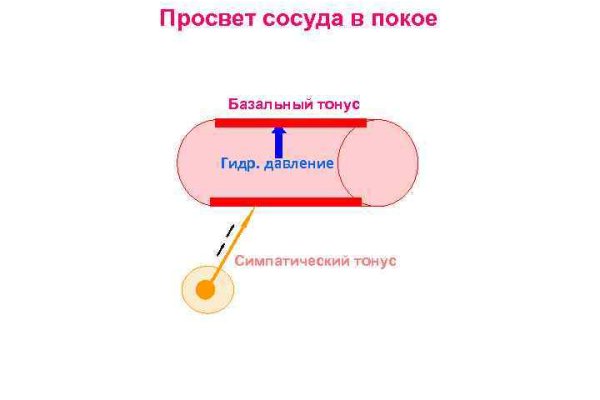 Настоящий сайт kraken