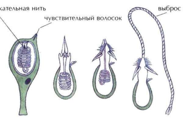Кракен наркота что это