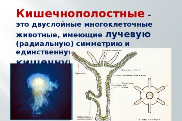 Кракен маркет плей