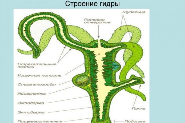 Кракен зеркало на сайт